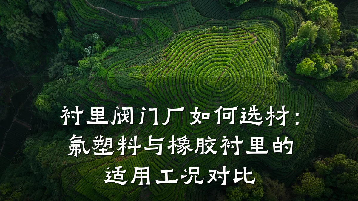 衬里阀门厂如何选材:氟塑料与橡胶衬里的适用工况对比
