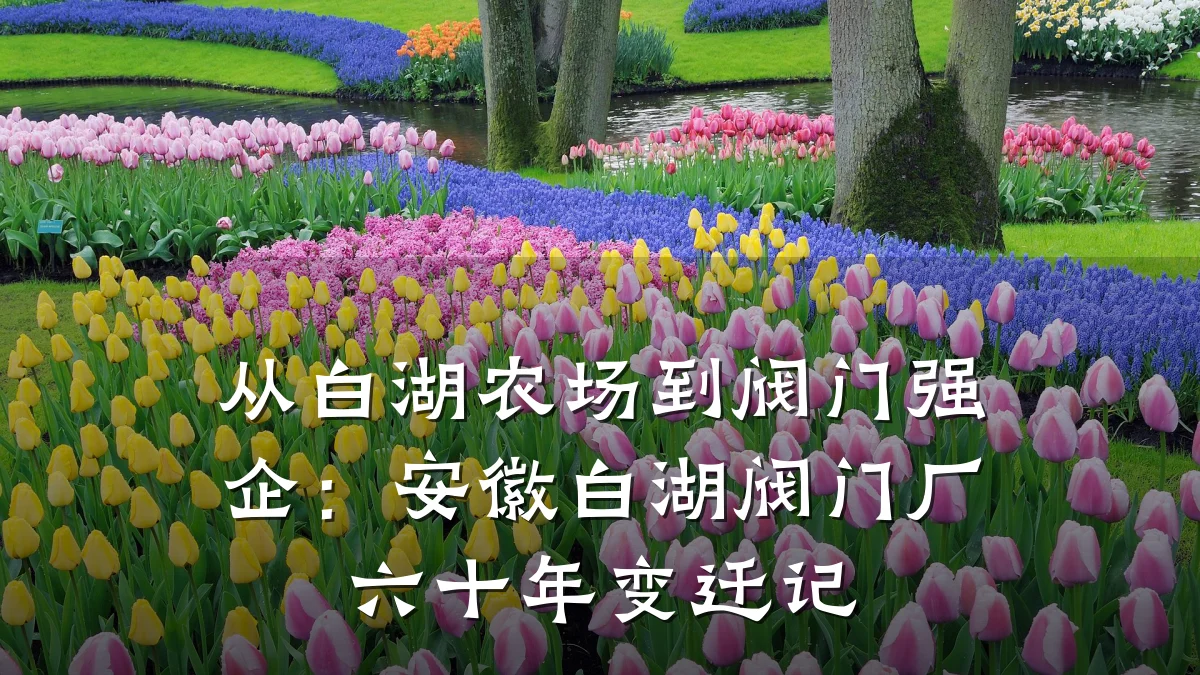 从白湖农场到阀门强企:安徽白湖阀门厂六十年变迁记
