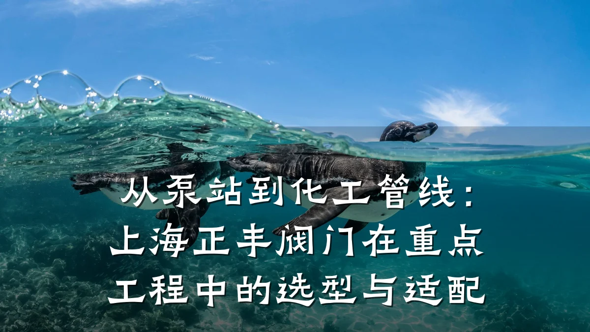 从泵站到化工管线：上海正丰阀门在重点工程中的选型与适配
