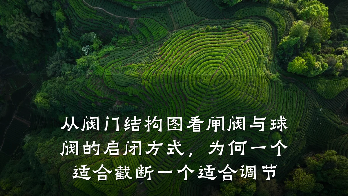 从阀门结构图看闸阀与球阀的启闭方式,为何一个适合截断一个适合调节