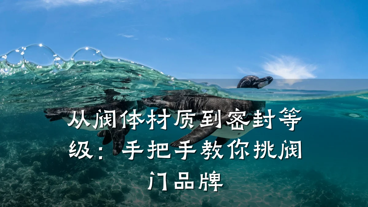从阀体材质到密封等级:手把手教你挑阀门品牌
