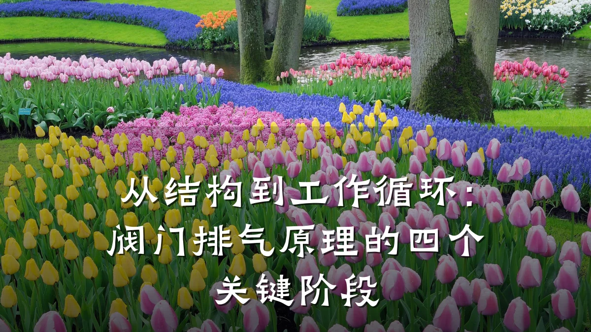 从结构到工作循环:阀门排气原理的四个关键阶段
