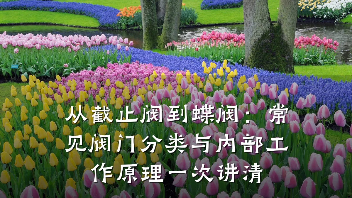 从截止阀到蝶阀:常见阀门分类与内部工作原理一次讲清