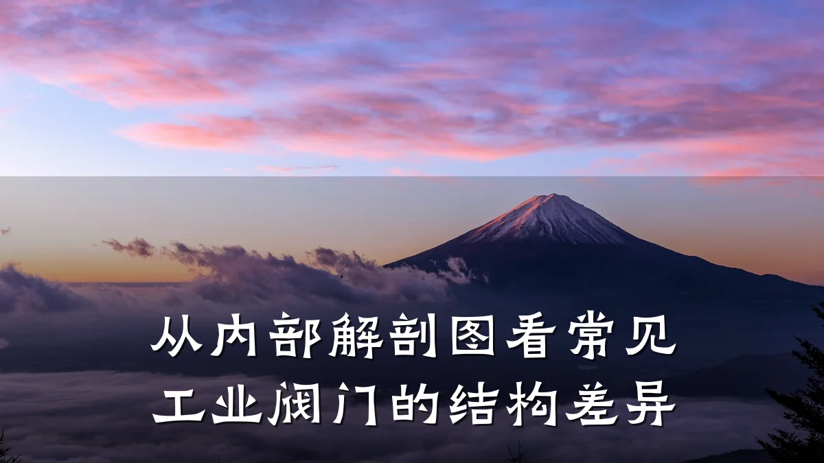 从内部解剖图看常见工业阀门的结构差异