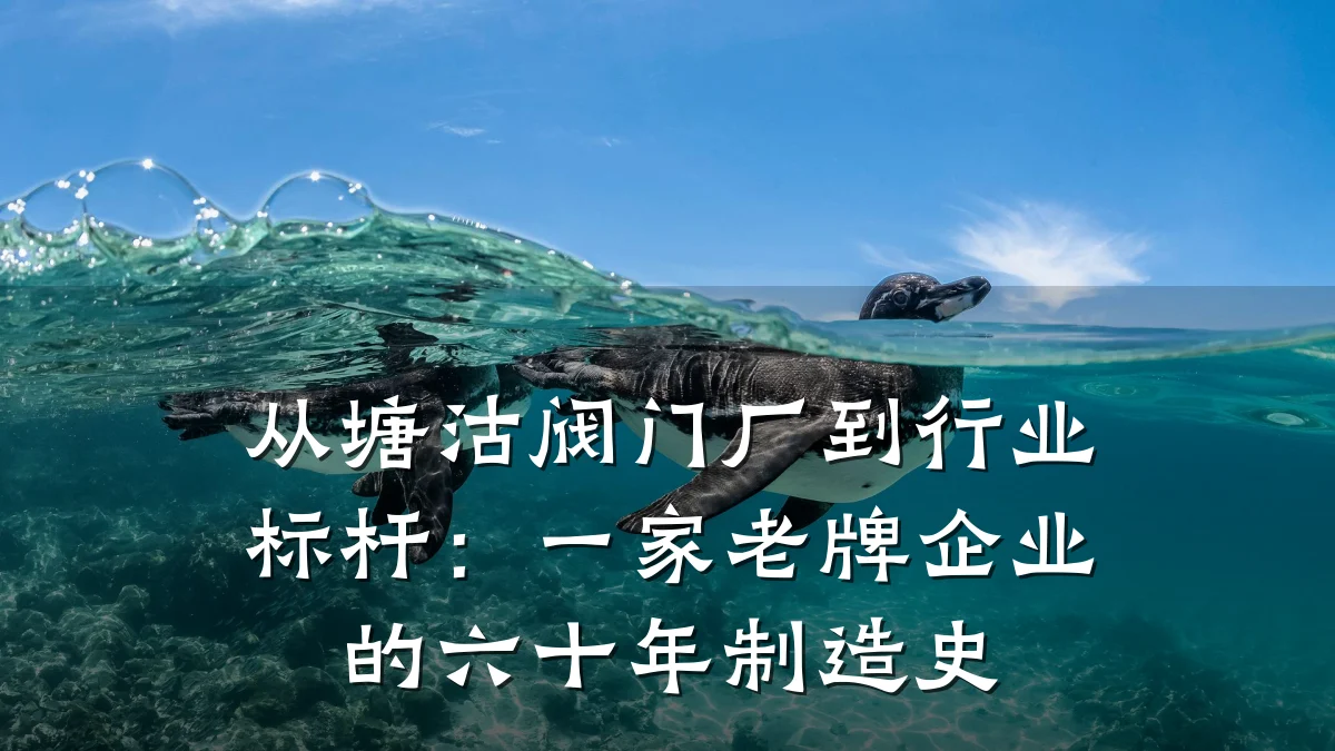 从塘沽阀门厂到行业标杆:一家老牌企业的六十年制造史