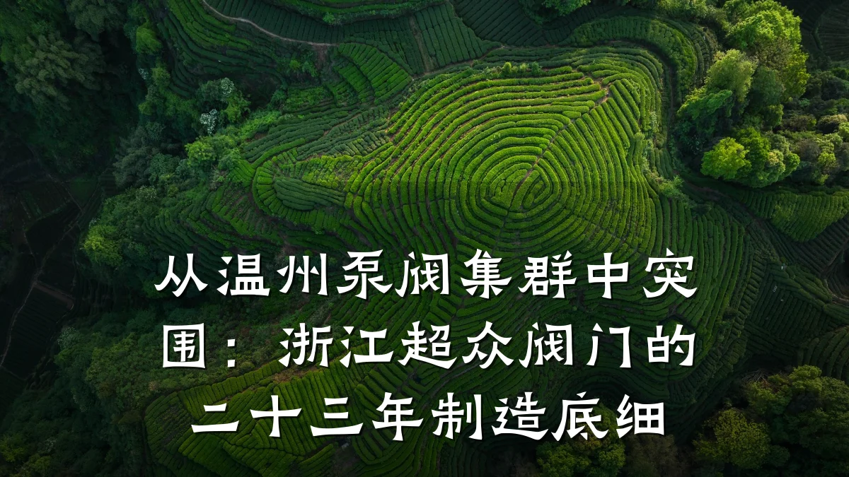 从温州泵阀集群中突围：浙江超众阀门的二十三年制造底细