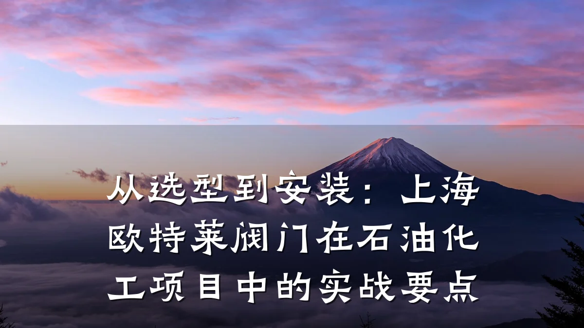 从选型到安装:上海欧特莱阀门在石油化工项目中的实战要点