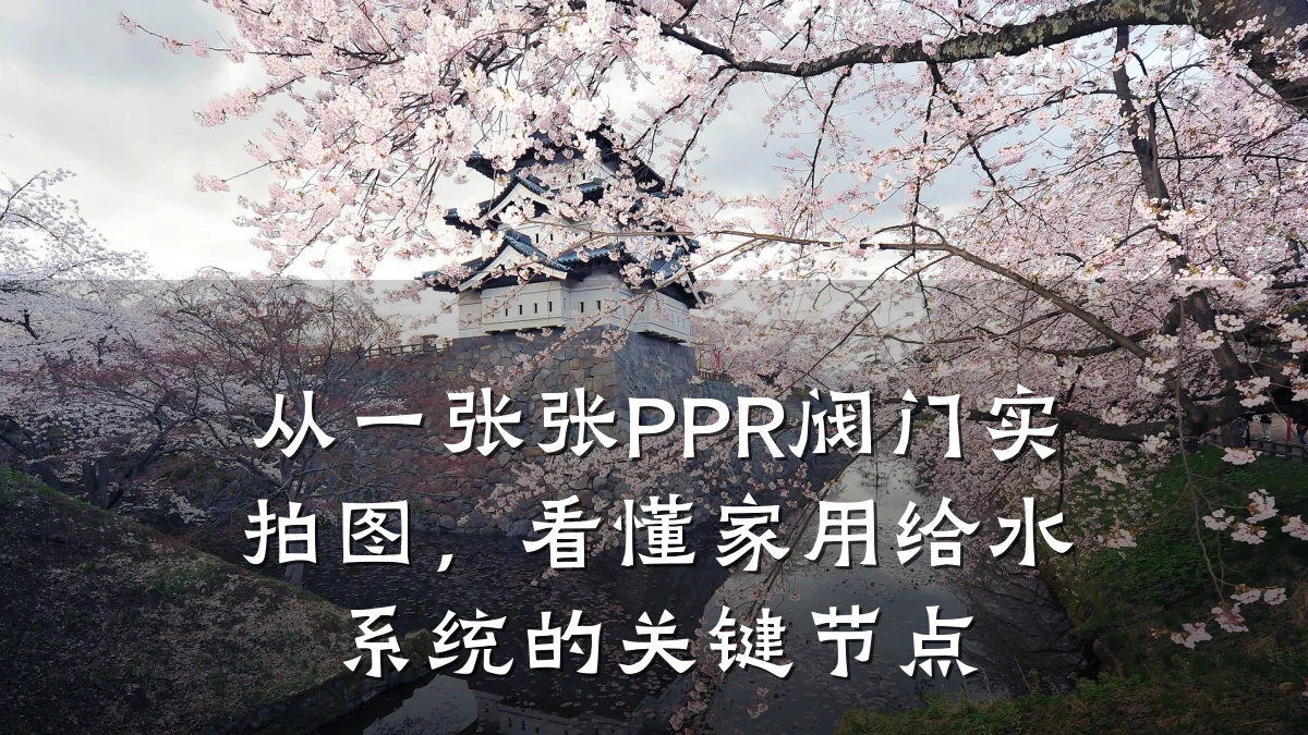 从一张张PPR阀门实拍图,看懂家用给水系统的关键节点