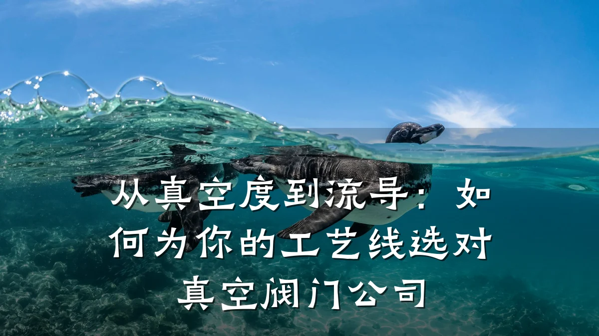 从真空度到流导:如何为你的工艺线选对真空阀门公司