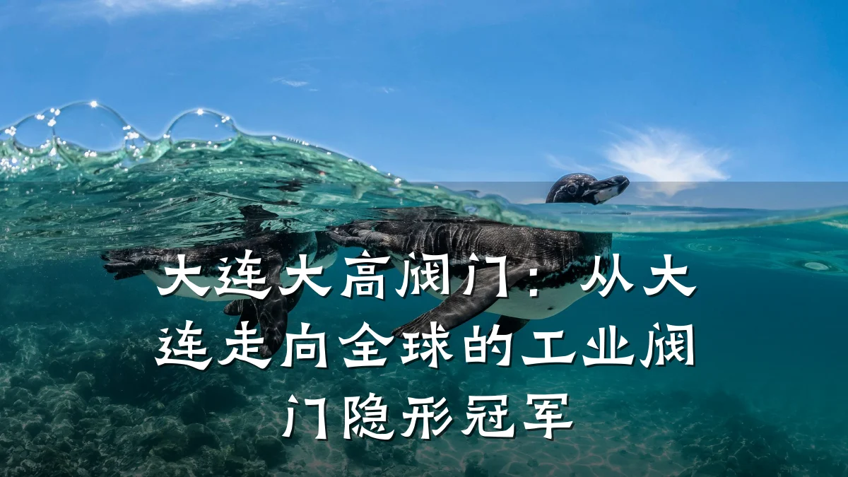 大连大高阀门：从大连走向全球的工业阀门隐形冠军