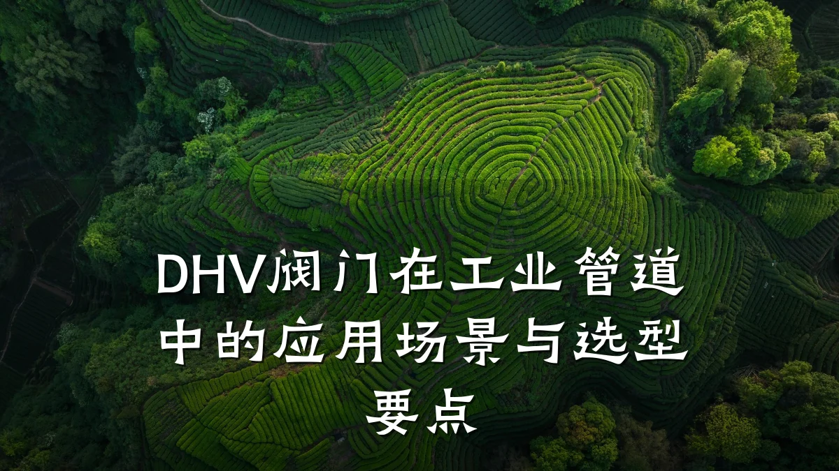 DHV阀门在工业管道中的应用场景与选型要点
