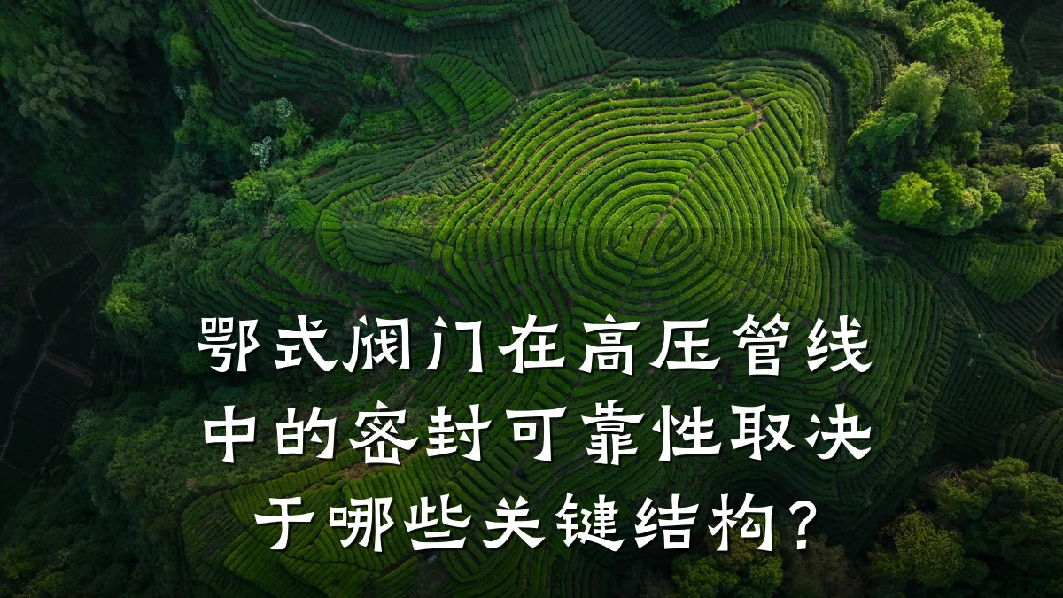 鄂式阀门在高压管线中的密封可靠性取决于哪些关键结构?
