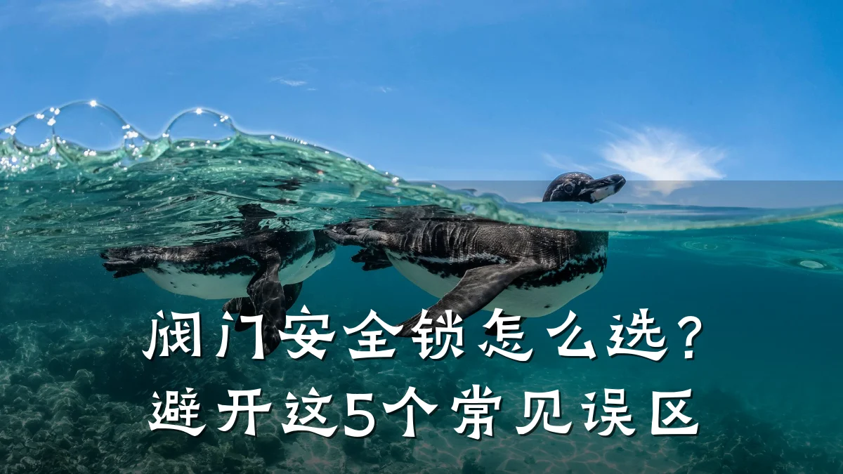 阀门安全锁怎么选?避开这5个常见误区