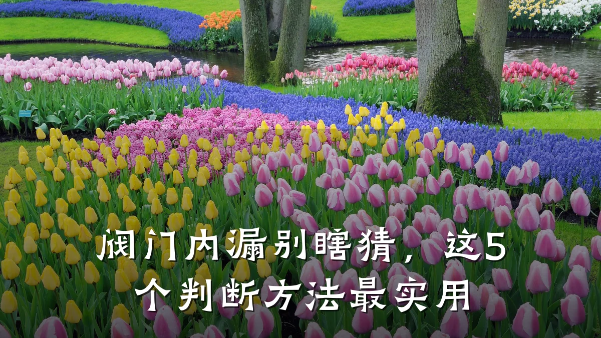 阀门内漏别瞎猜,这5个判断方法最实用