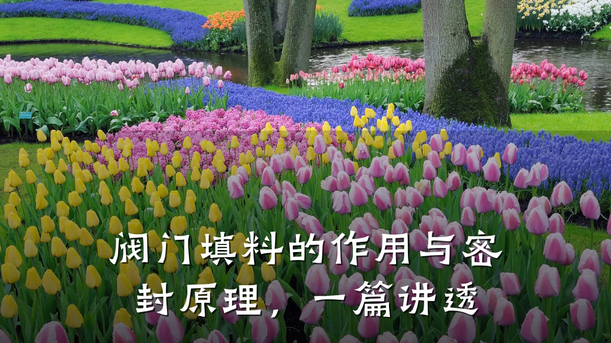 阀门填料的作用与密封原理,一篇讲透