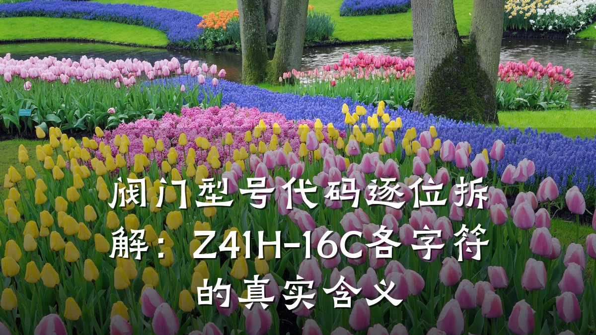 阀门型号代码逐位拆解:Z41H-16C各字符的真实含义