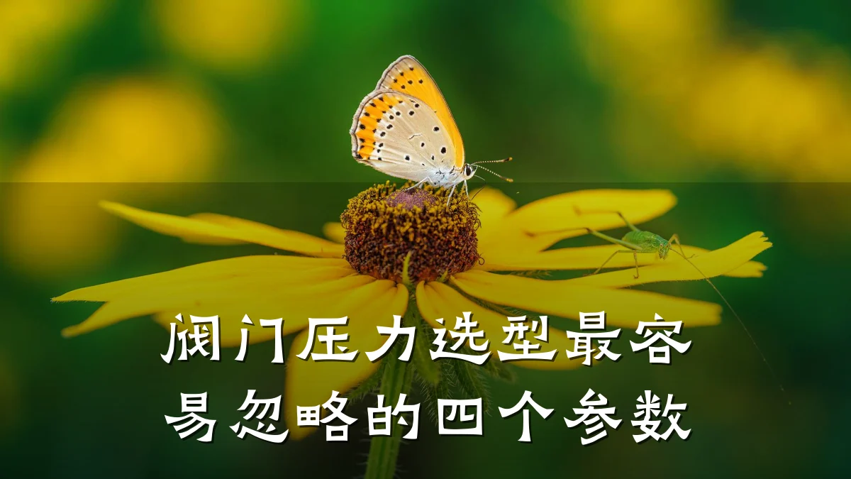 阀门压力选型最容易忽略的四个参数