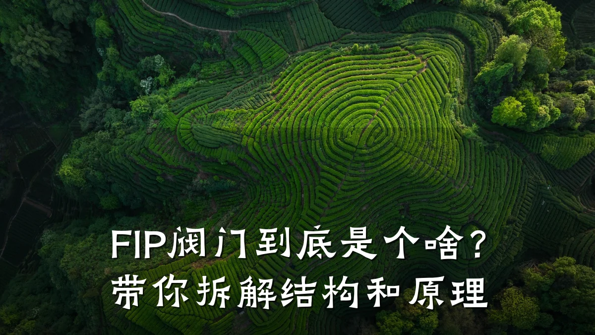 FIP阀门到底是个啥?带你拆解结构和原理