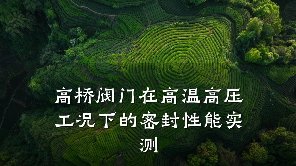 高桥阀门在高温高压工况下的密封性能实测