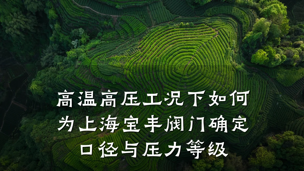 高温高压工况下如何为上海宝丰阀门确定口径与压力等级
