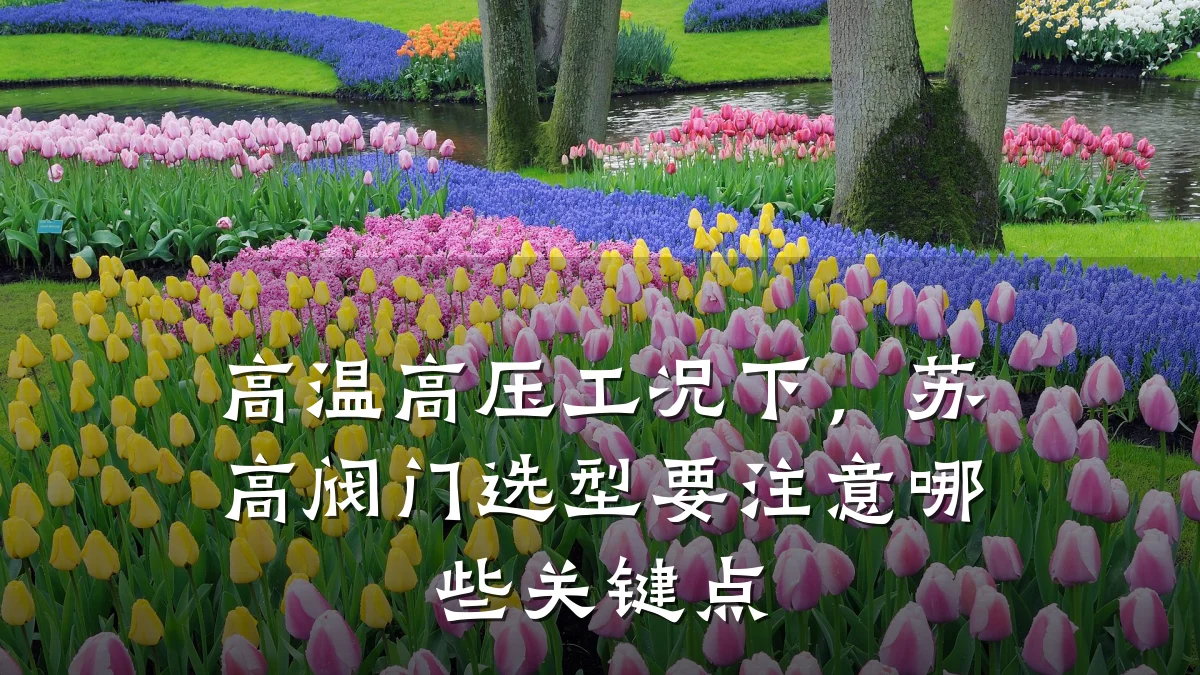 高温高压工况下,苏高阀门选型要注意哪些关键点