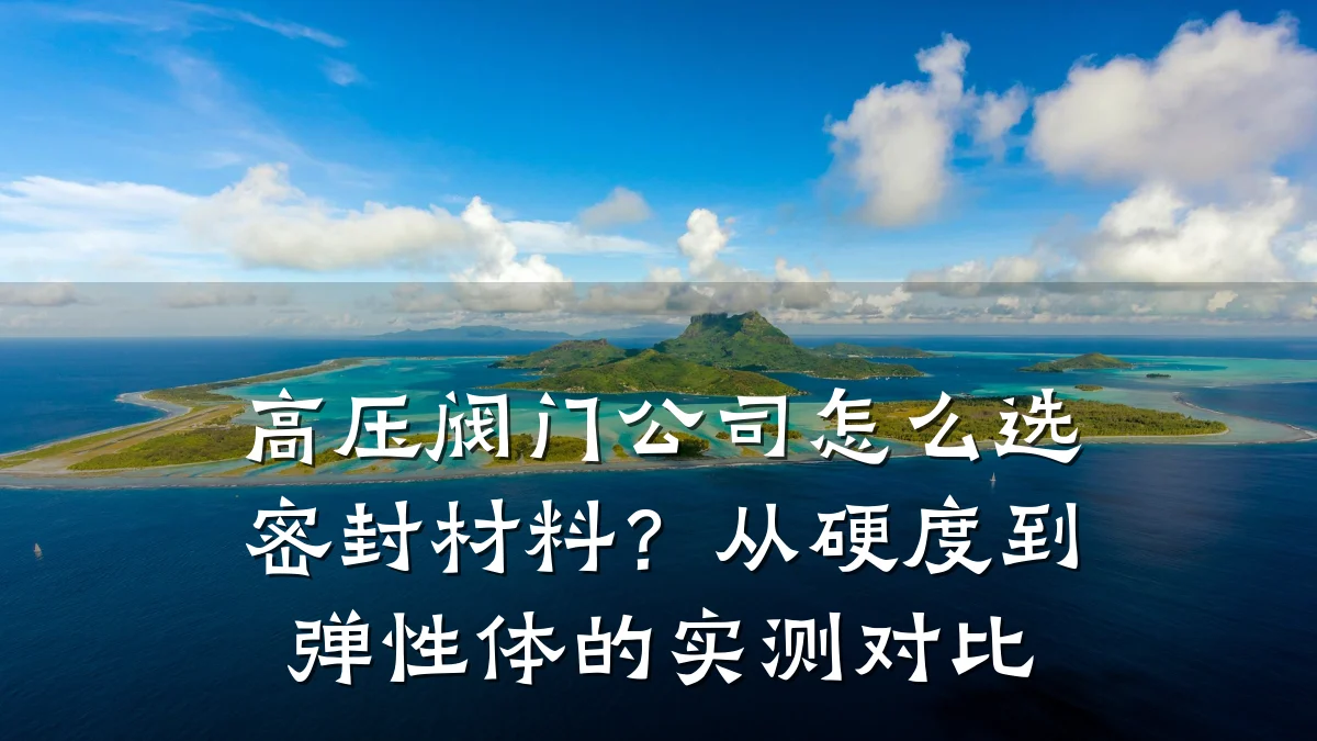 高压阀门公司怎么选密封材料？从硬度到弹性体的实测对比