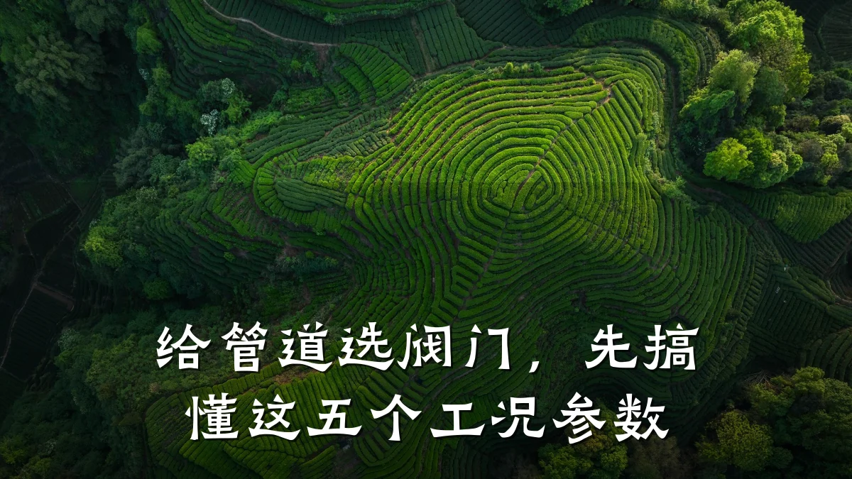 给管道选阀门,先搞懂这五个工况参数