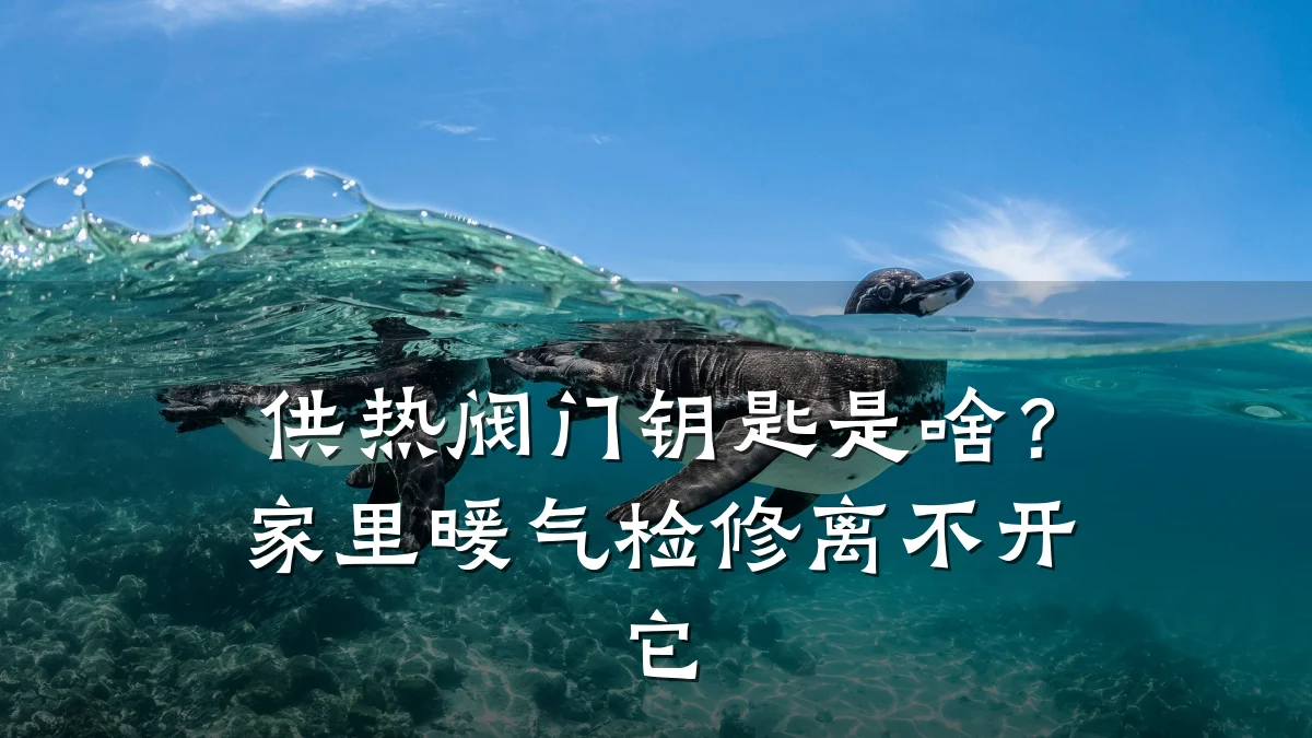 供热阀门钥匙是啥?家里暖气检修离不开它