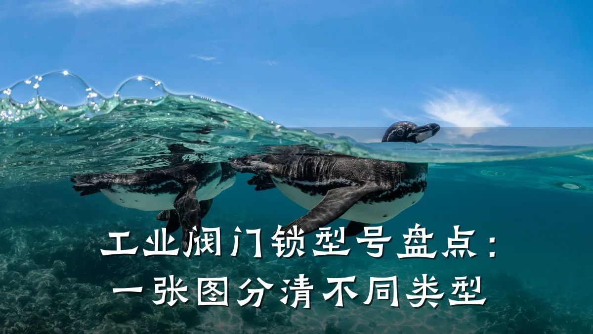 工业阀门锁型号盘点:一张图分清不同类型