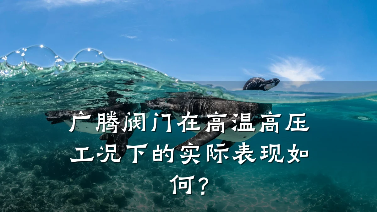 广腾阀门在高温高压工况下的实际表现如何?