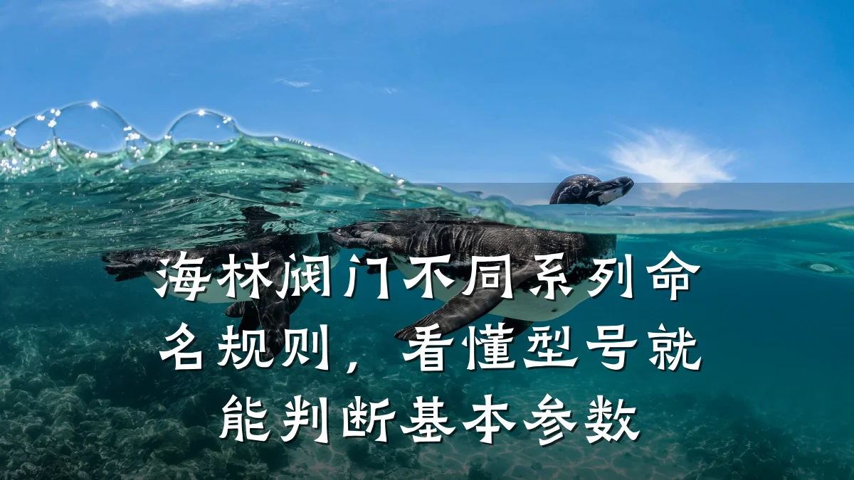 海林阀门不同系列命名规则,看懂型号就能判断基本参数