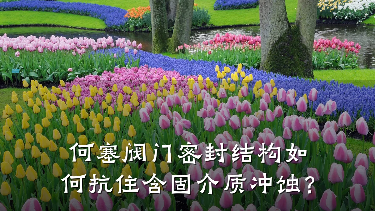何塞阀门密封结构如何抗住含固介质冲蚀?