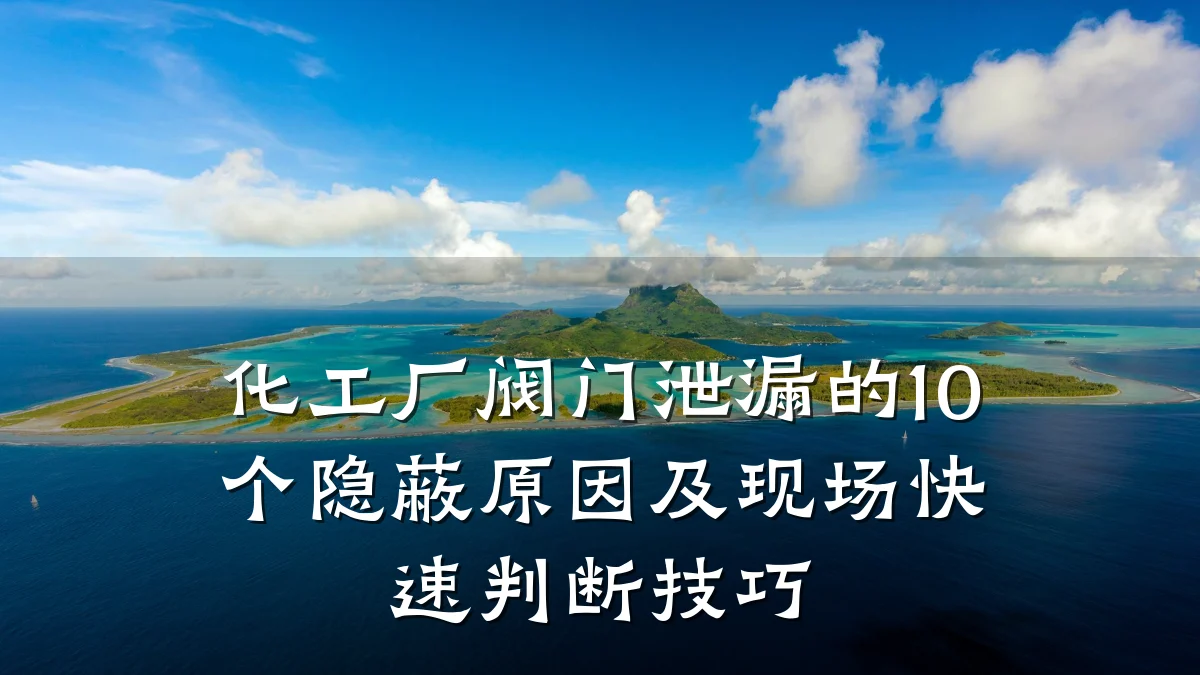 化工厂阀门泄漏的10个隐蔽原因及现场快速判断技巧