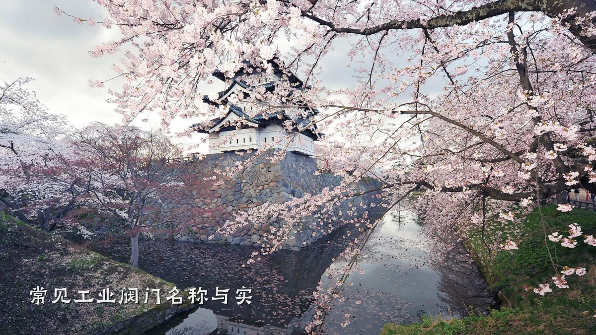 常见工业阀门名称与实