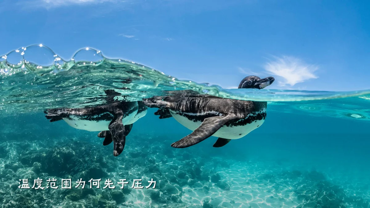 温度范围为何先于压力