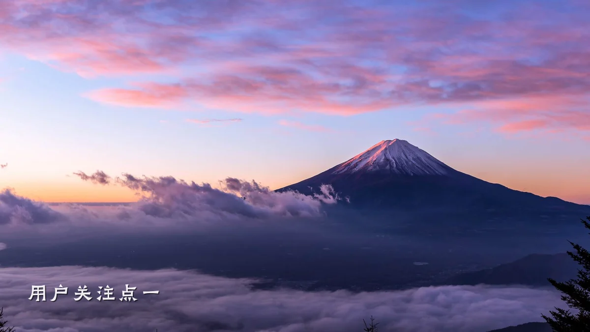 用户关注点一