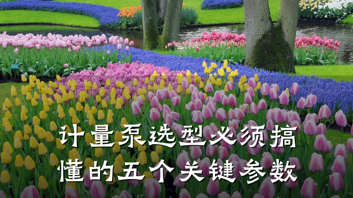 计量泵选型必须搞懂的五个关键参数