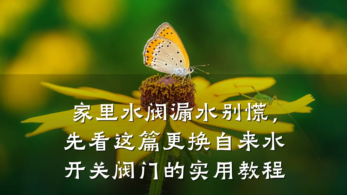 家里水阀漏水别慌,先看这篇更换自来水开关阀门的实用教程