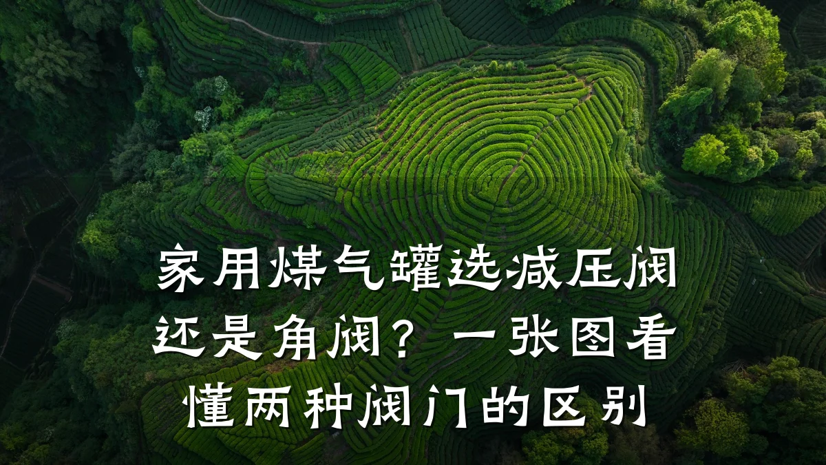 家用煤气罐选减压阀还是角阀？一张图看懂两种阀门的区别