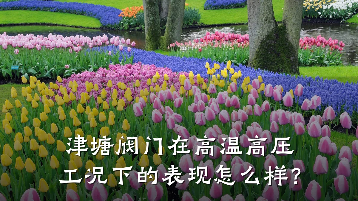津塘阀门在高温高压工况下的表现怎么样?