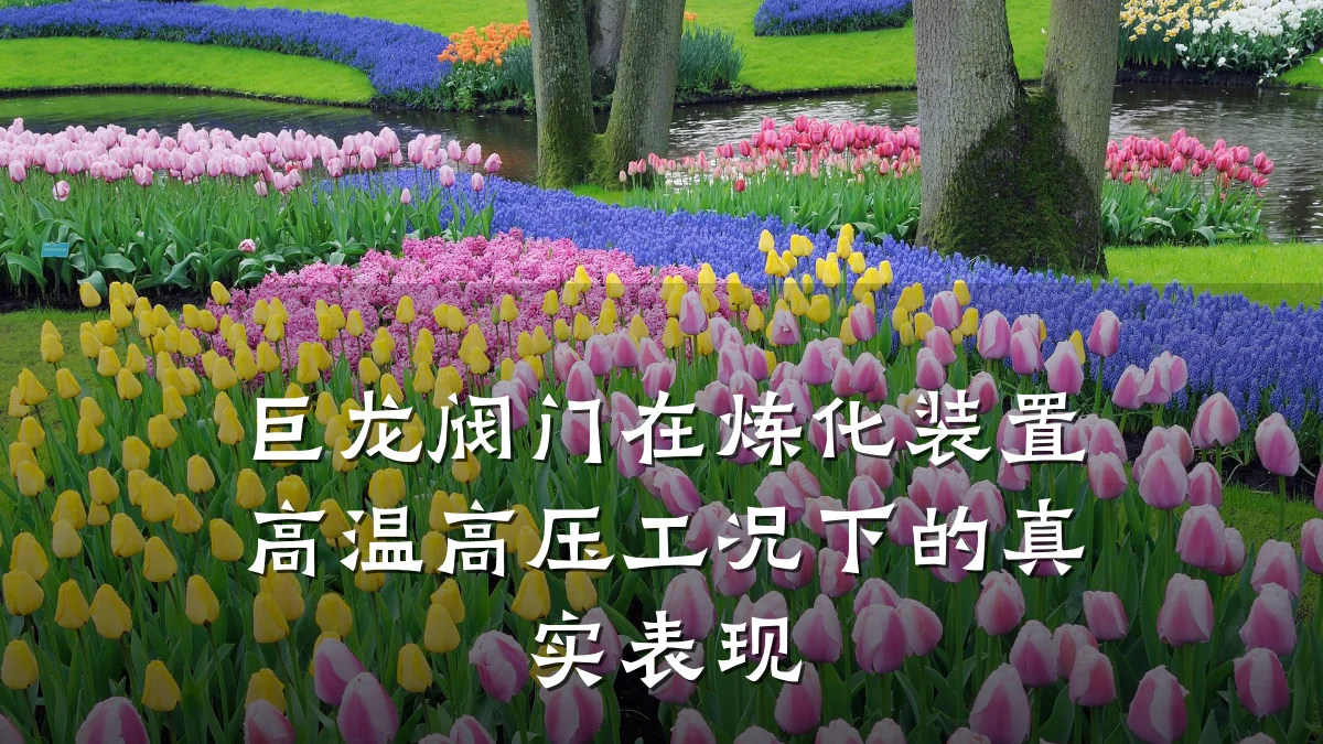 巨龙阀门在炼化装置高温高压工况下的真实表现