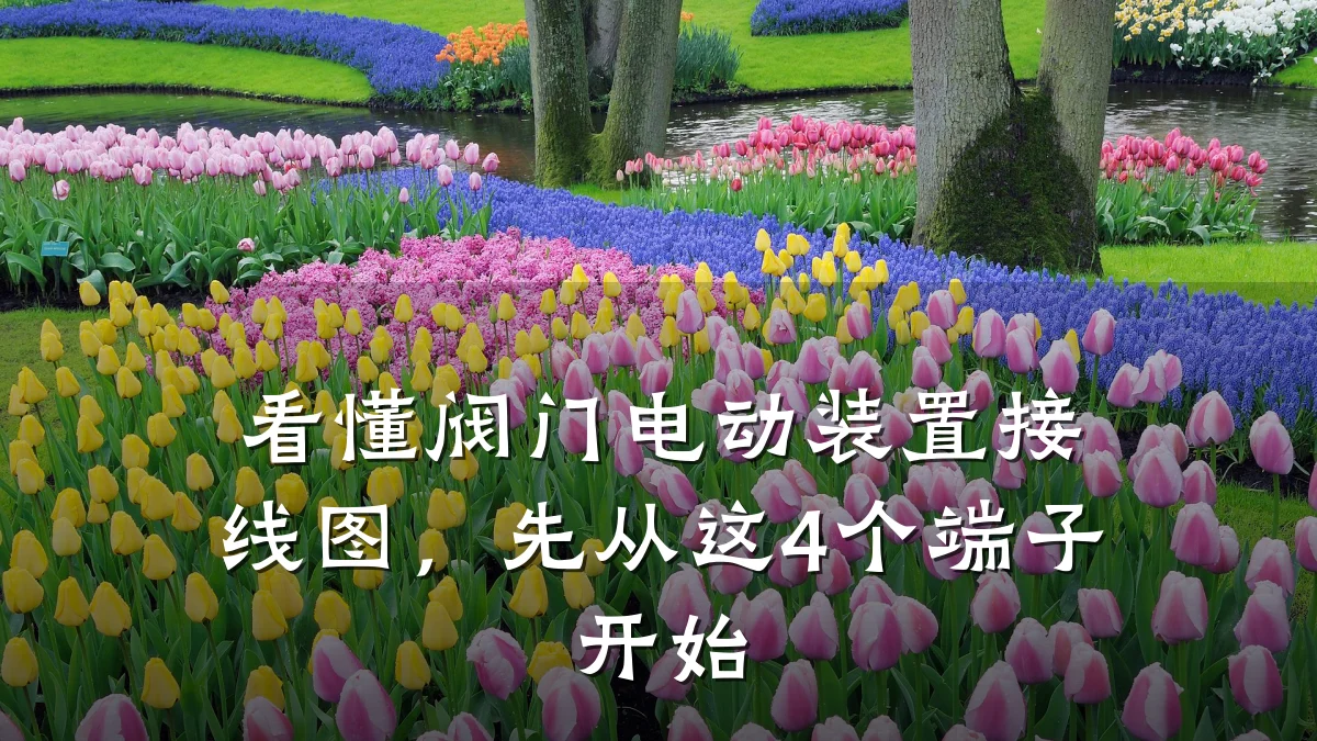 看懂阀门电动装置接线图,先从这4个端子开始