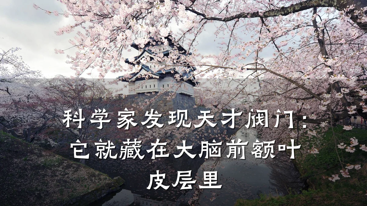 科学家发现天才阀门:它就藏在大脑前额叶皮层里