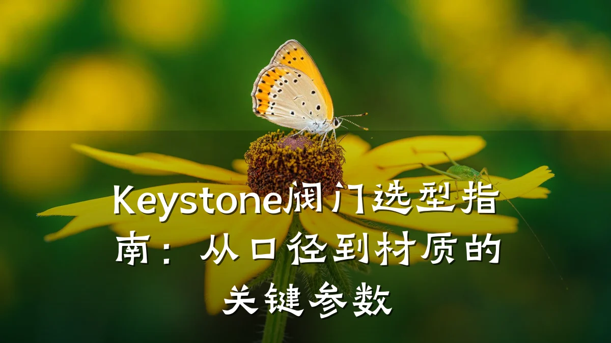 Keystone阀门选型指南:从口径到材质的关键参数