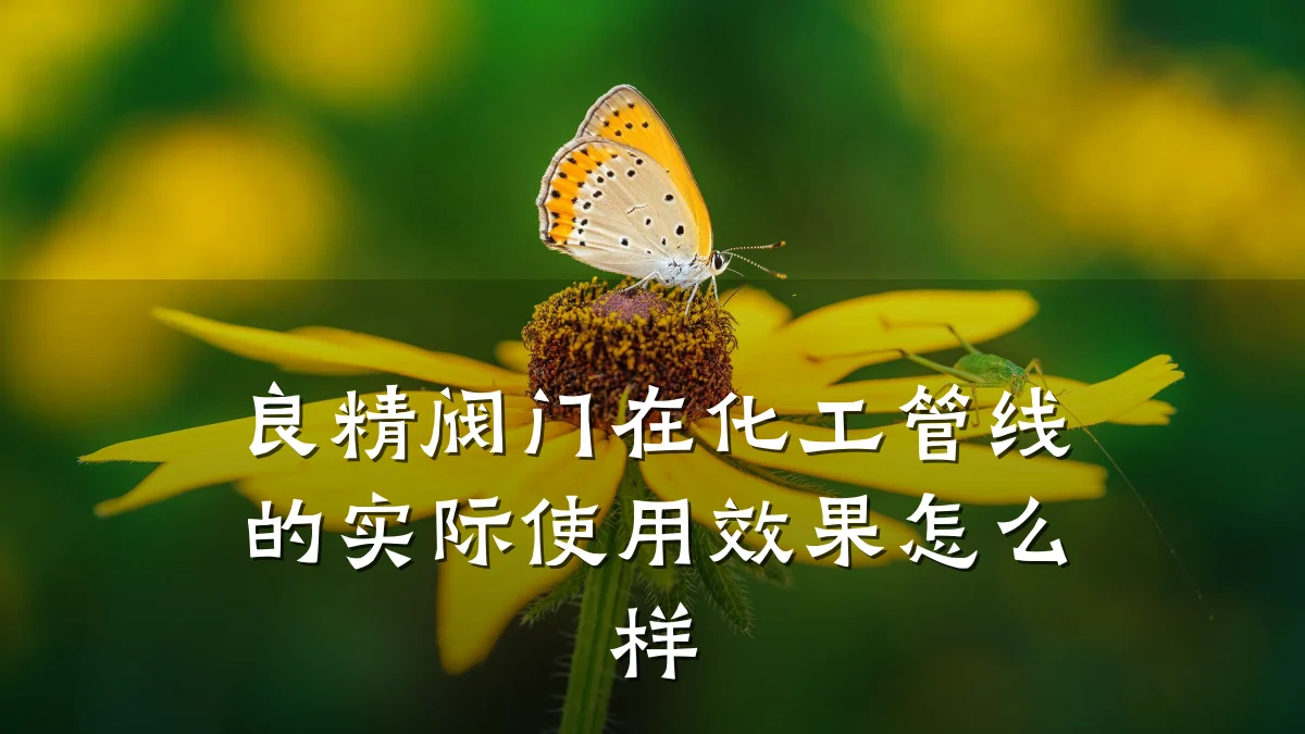 良精阀门在化工管线的实际使用效果怎么样