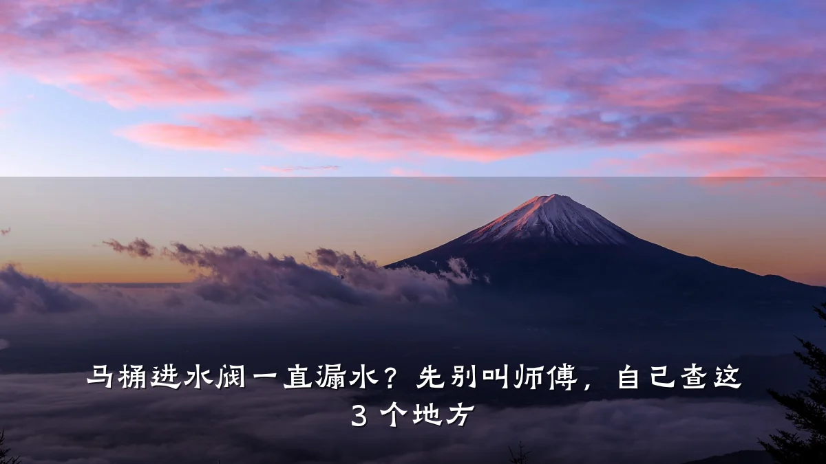 马桶进水阀一直漏水?先别叫师傅,自己查这 3 个地方