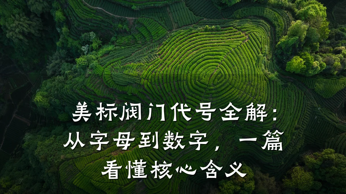 美标阀门代号全解:从字母到数字,一篇看懂核心含义