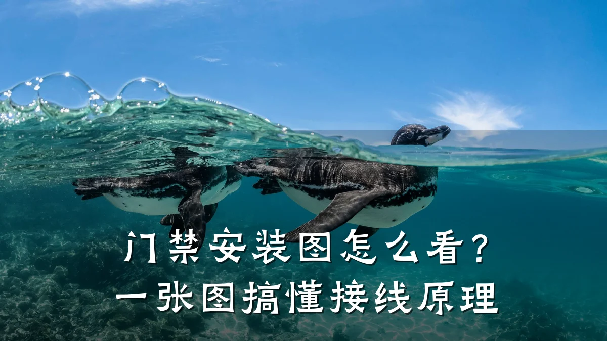 门禁安装图怎么看?一张图搞懂接线原理