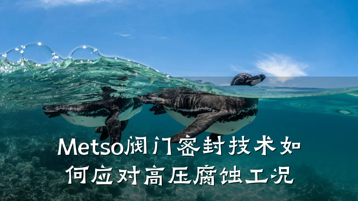 Metso阀门密封技术如何应对高压腐蚀工况