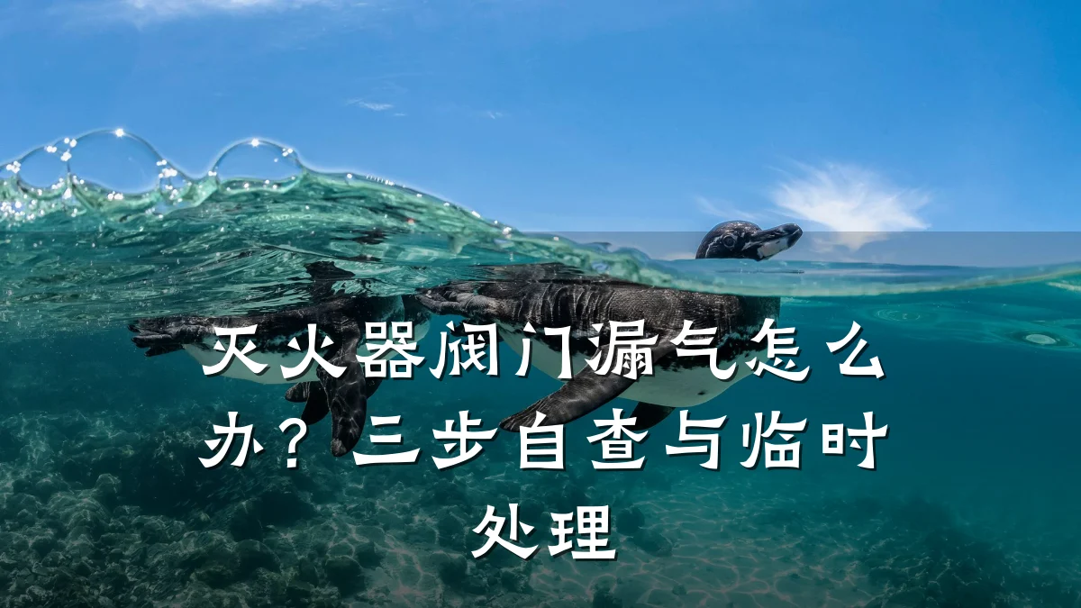 灭火器阀门漏气怎么办？三步自查与临时处理